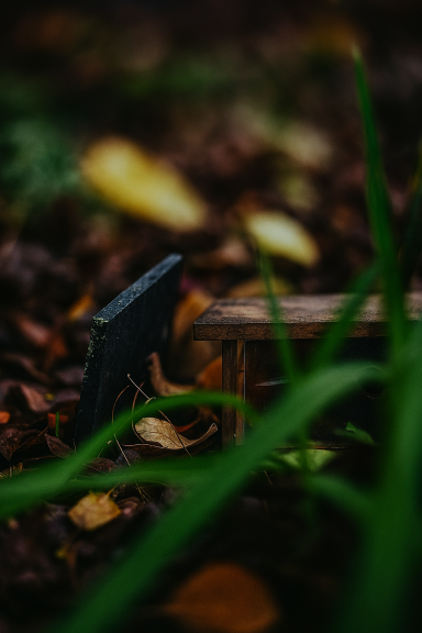 Ein heruntergefallenes Vogelhaus liegt verlassen auf dem Boden, sein Dach ist abgebrochen.