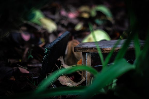 Ein heruntergefallenes Vogelhaus liegt verlassen auf dem Boden, sein Dach ist abgebrochen.