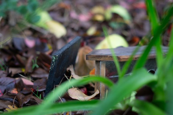 Ein heruntergefallenes Vogelhaus liegt verlassen auf dem Boden, sein Dach ist abgebrochen.